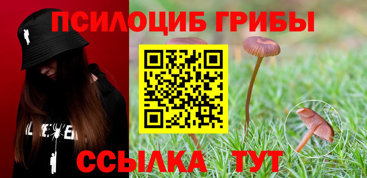 Галлюциногенные грибы мухоморы Тольятти